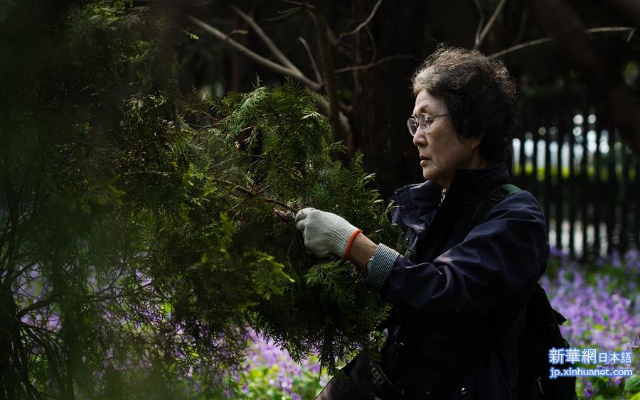 （社会）（2）日本植树访华团持续32年悼念南京大屠杀遇难者