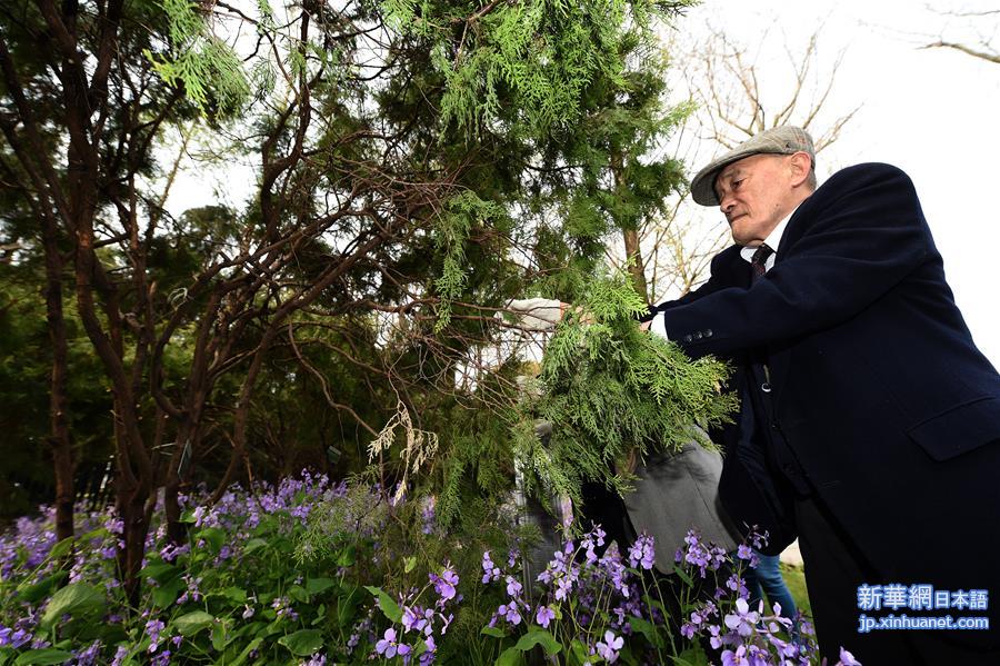 （社会）（6）日本植树访华团持续32年悼念南京大屠杀遇难者