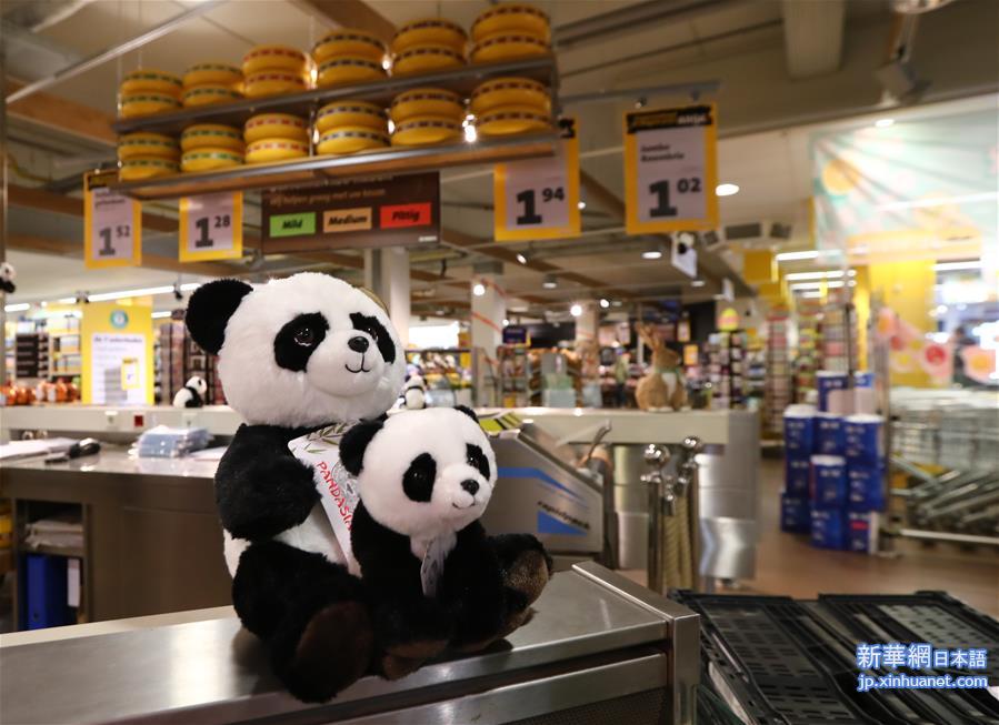 （国际）（5）荷兰小城掀起“熊猫热”