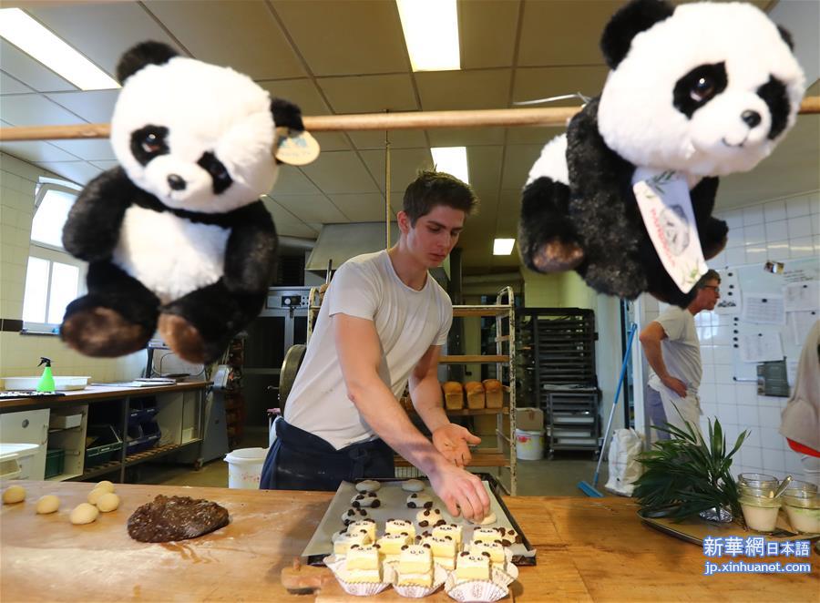 （国际）（6）荷兰小城掀起“熊猫热”