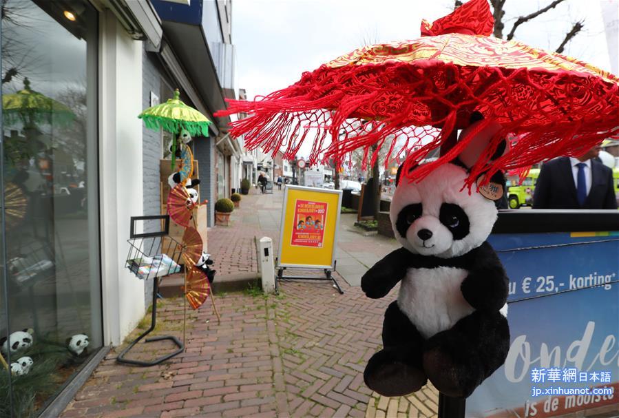 （国际）（4）荷兰小城掀起“熊猫热”