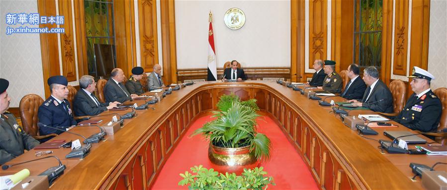 （国际）（1）埃及总统塞西宣布埃及进入紧急状态