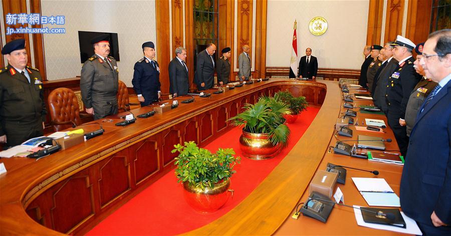 （国际）（3）埃及总统塞西宣布埃及进入紧急状态