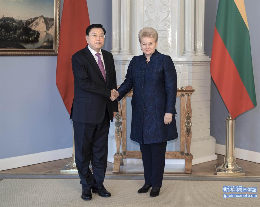 （时政）张德江对立陶宛进行正式友好访问