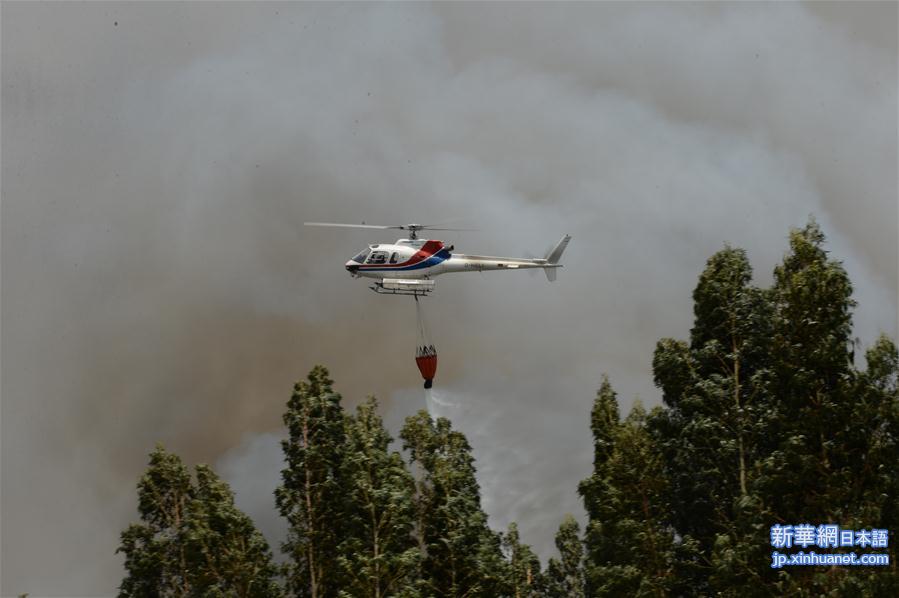 （国际）（3）葡森林火灾造成至少61人死亡 政府宣布进入紧急状态