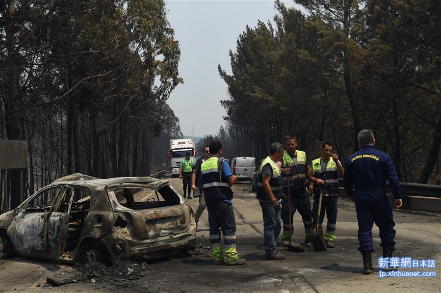 （国际）（5）葡森林火灾造成至少61人死亡 政府宣布进入紧急状态