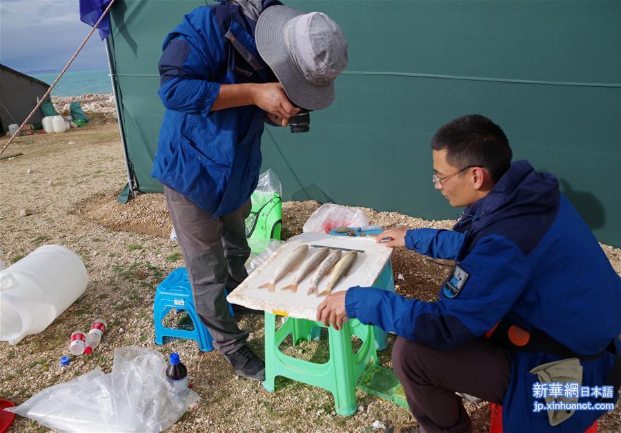 （科技）（1）第二次青藏高原综合科考队考察高原鱼类