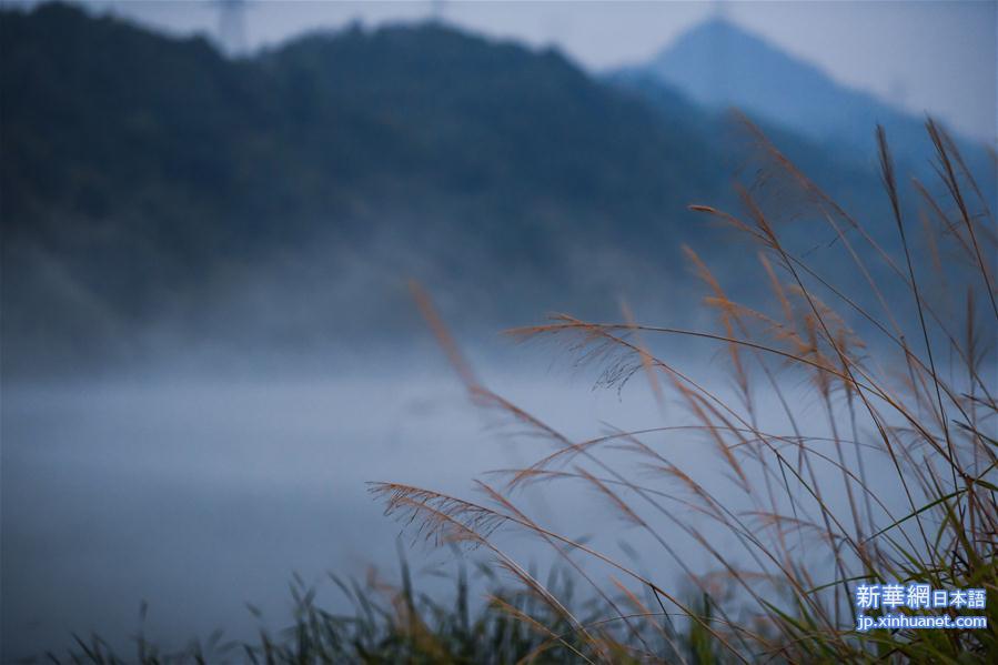 （美丽中国）（4）“新安江奇雾”送清凉