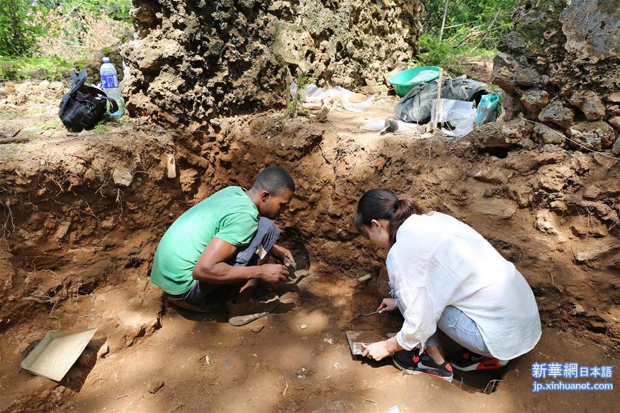 （国际）（6）肯尼亚发现郑和下西洋时代中国血缘人骨遗骸