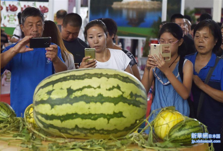 （服务）（1）第十届辽宁国际农业博览会举行