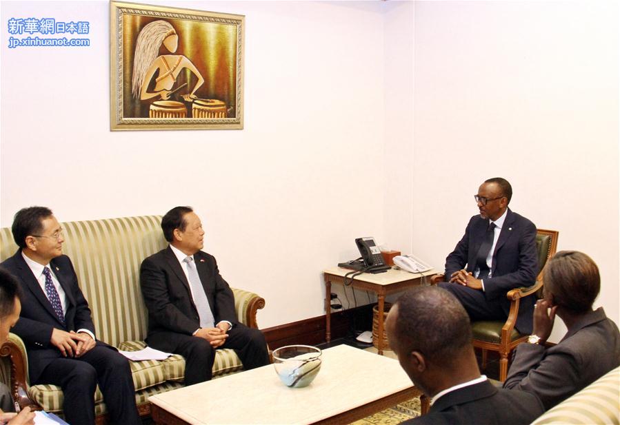 （XHDW）卢旺达总统卡加梅会见习近平主席特使刘晓峰