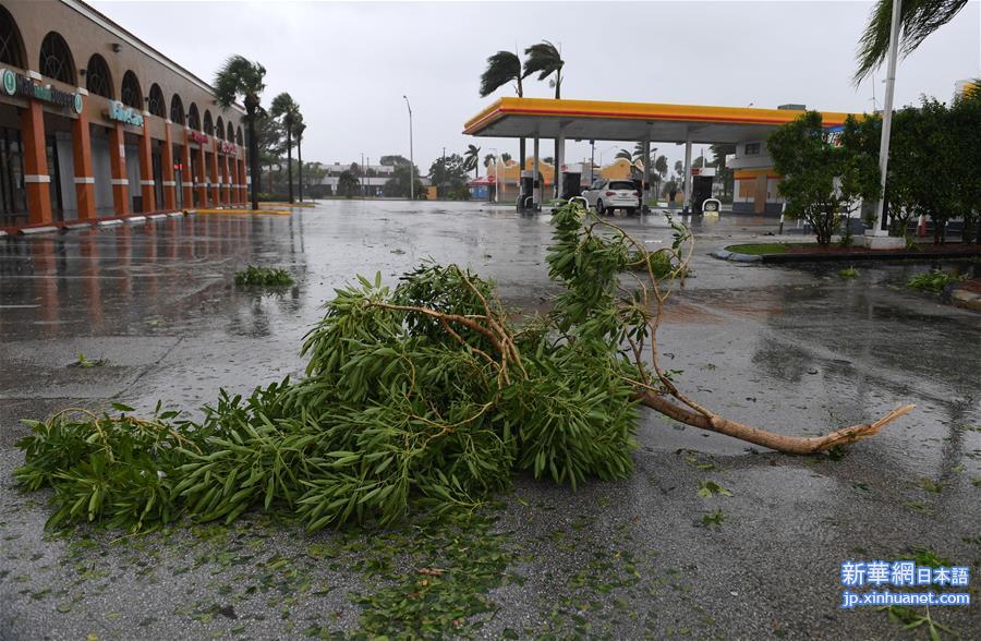 （国际）（6）飓风“艾尔玛”登陆美国佛罗里达