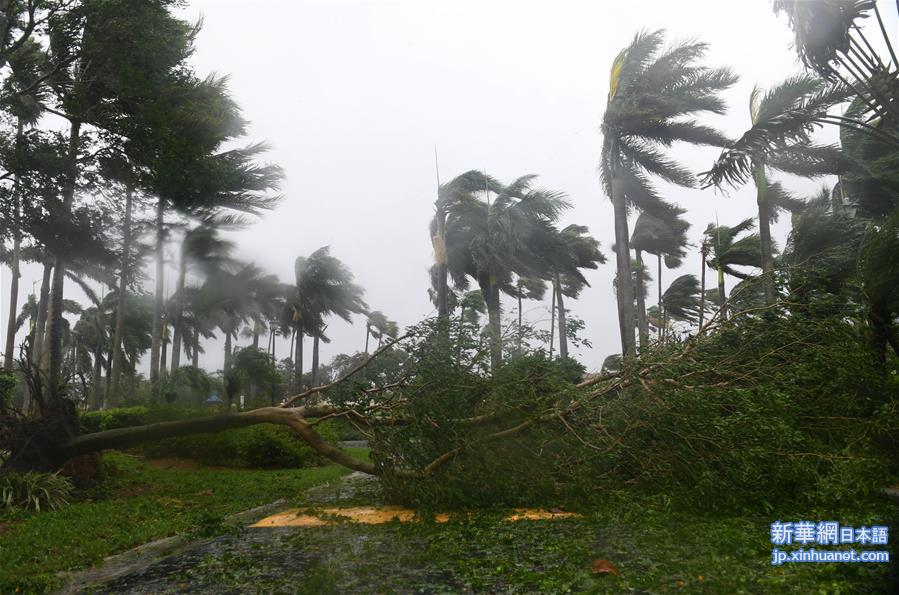 （国际）（3）飓风“艾尔玛”登陆美国佛罗里达