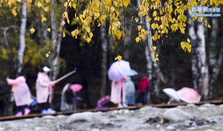 （美丽中国）（3）新疆禾木：雨中仙境