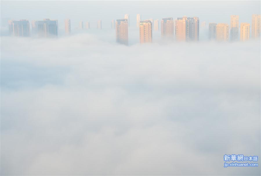 （环境）（1）浙江上虞出现平流雾景观