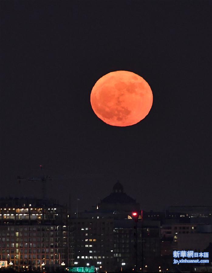 （国际）（4）“超级月亮”现身华盛顿