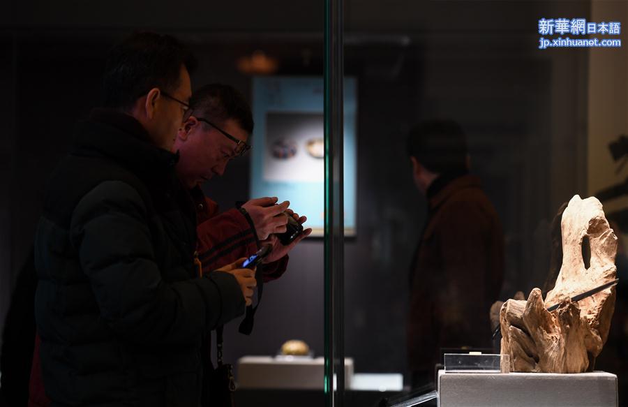 （文化）（4）近百件唐代文物展现古丝绸之路文明交融