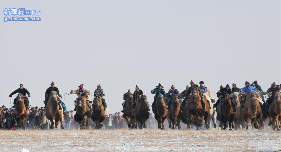 （文化）（1）内蒙古冬季那达慕举行