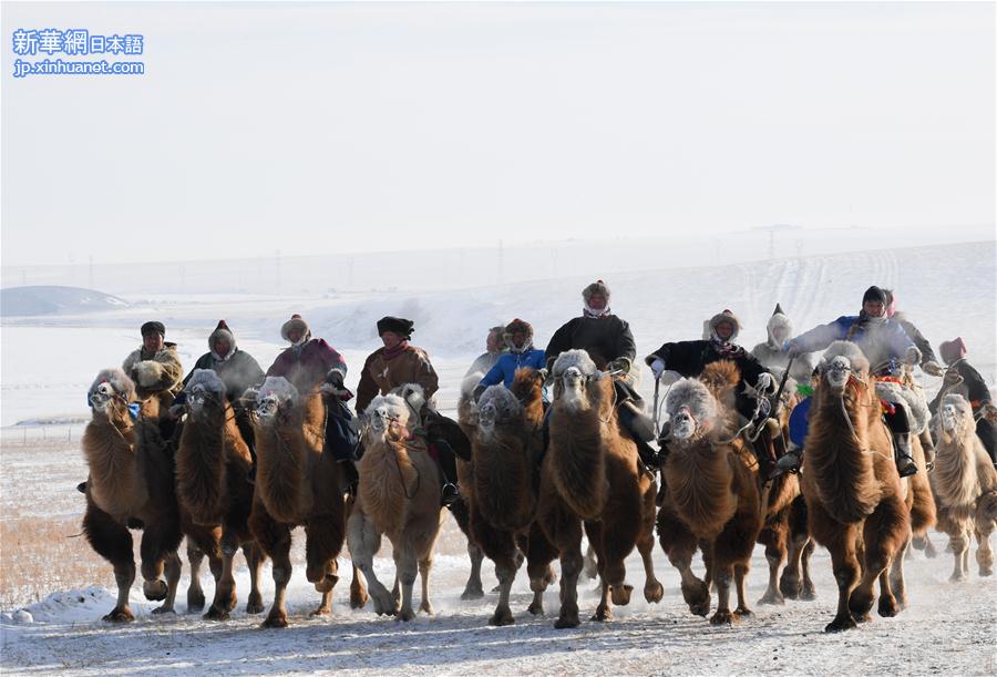（文化）（2）内蒙古冬季那达慕举行