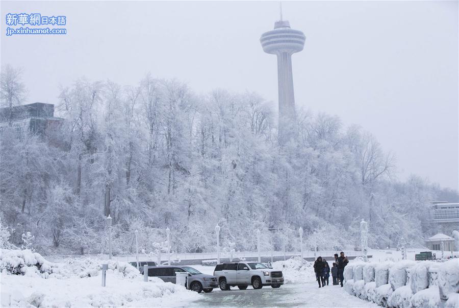 （国际）（5）加拿大遭遇极寒天气