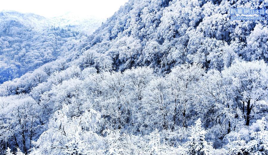 （环境）（4）雪后初霁紫柏山