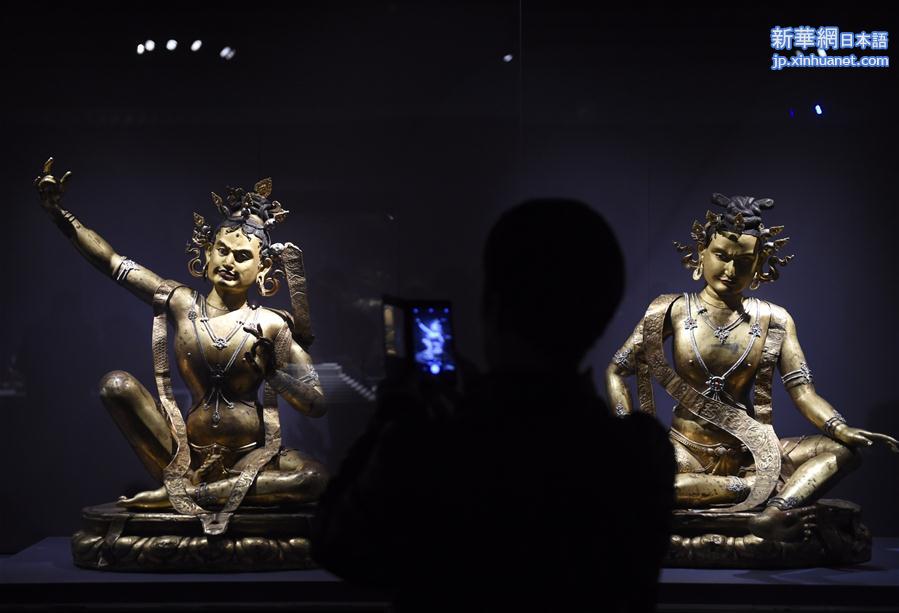 （文化）（3）《天路文华——西藏历史文化展》首博开幕