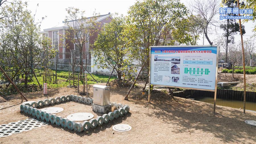 （环境）（2）上海：生物技术助力农村污水处理 
