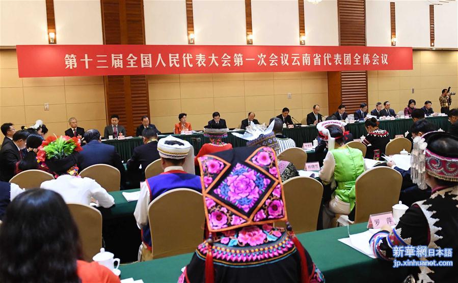 （两会）云南代表团全体会议向媒体开放