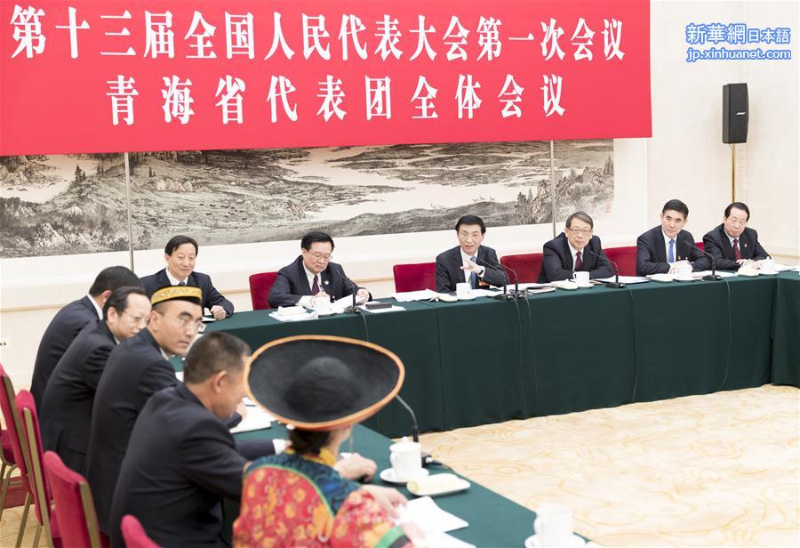 （两会）王沪宁参加青海代表团审议
