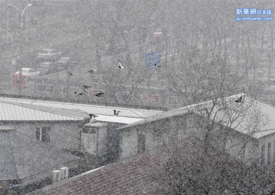 （环境）（8）北京迎来春雪