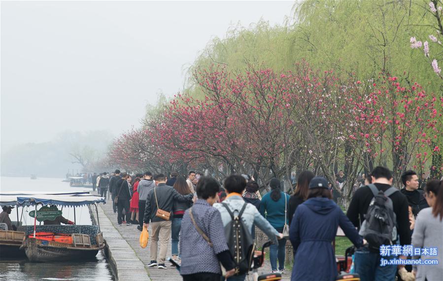 （环境）（2）杭州西湖：桃红柳绿