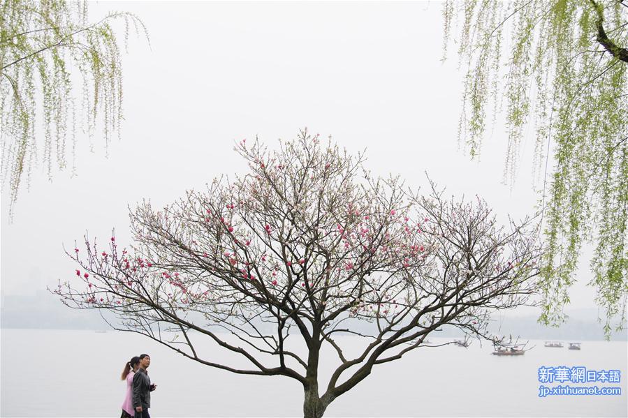 （环境）（3）杭州西湖：桃红柳绿