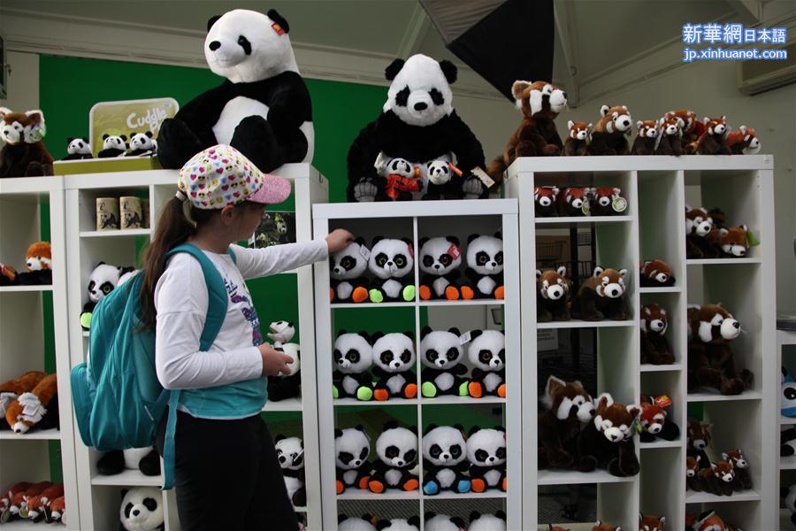 （新华视界）（2）阿德莱德动物园的大熊猫 