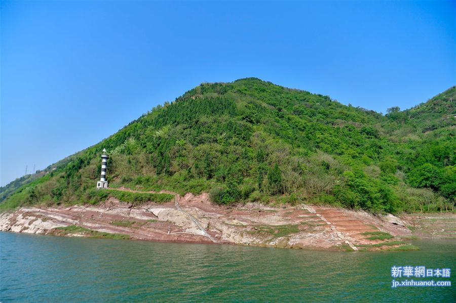 （环境）（1）重庆长江岸线生态复绿初见成效