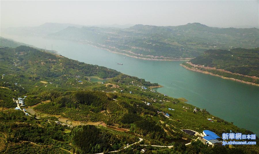 （环境）（3）重庆长江岸线生态复绿初见成效