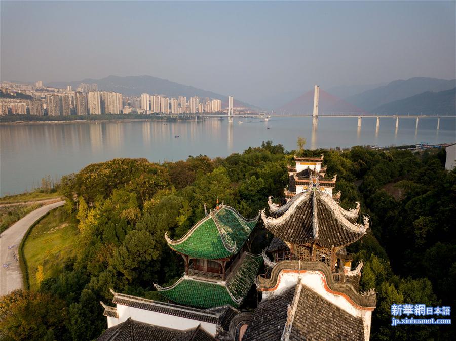 （环境）（6）重庆长江岸线生态复绿初见成效