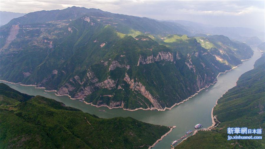 （环境）（7）重庆长江岸线生态复绿初见成效