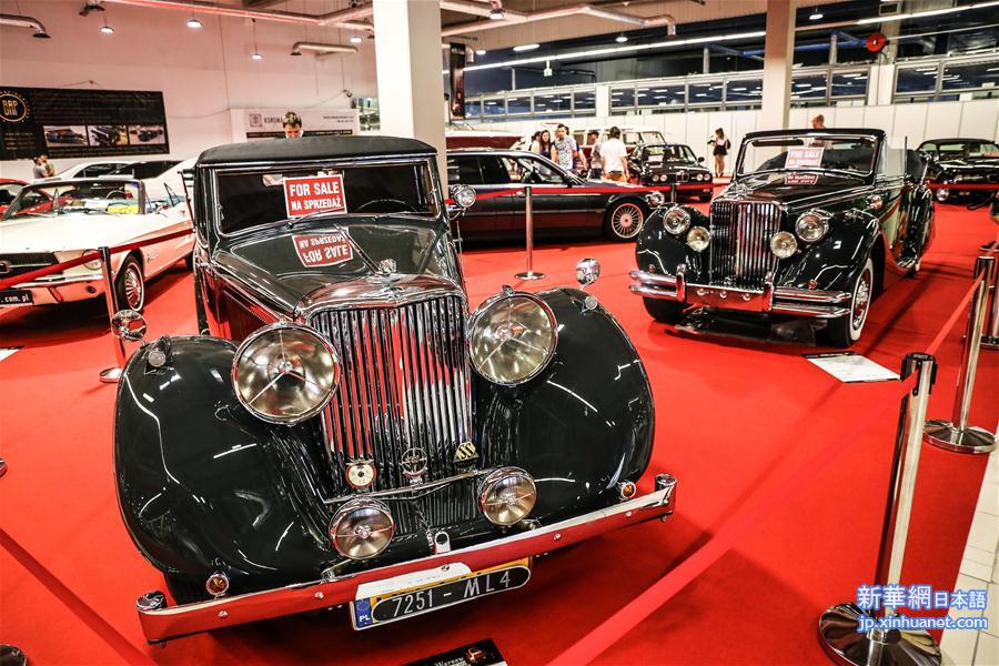 （XHDW）（3）波兰举行经典老爷车展