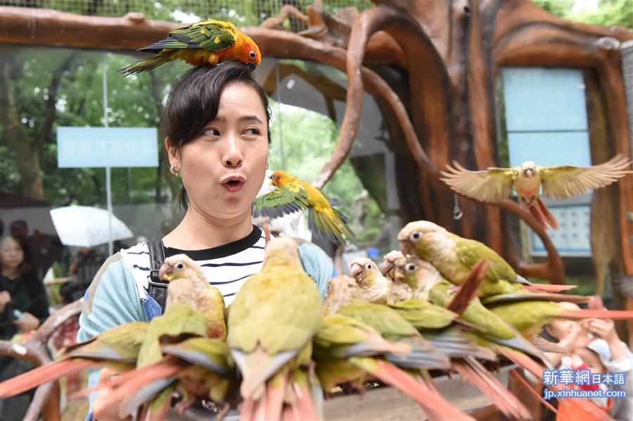 （社会）（1）重庆动物园鹦鹉苑开园 人鸟亲密接触