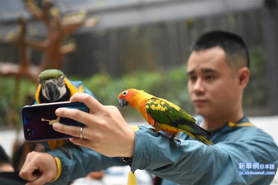 （社会）（2）重庆动物园鹦鹉苑开园 人鸟亲密接触