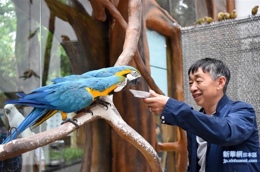 （社会）（3）重庆动物园鹦鹉苑开园 人鸟亲密接触