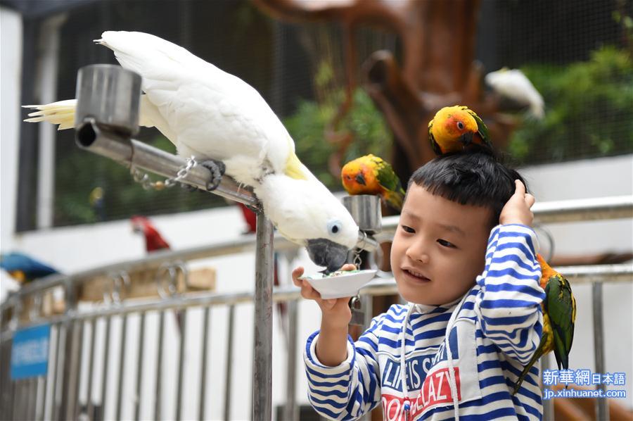 （社会）（4）重庆动物园鹦鹉苑开园 人鸟亲密接触