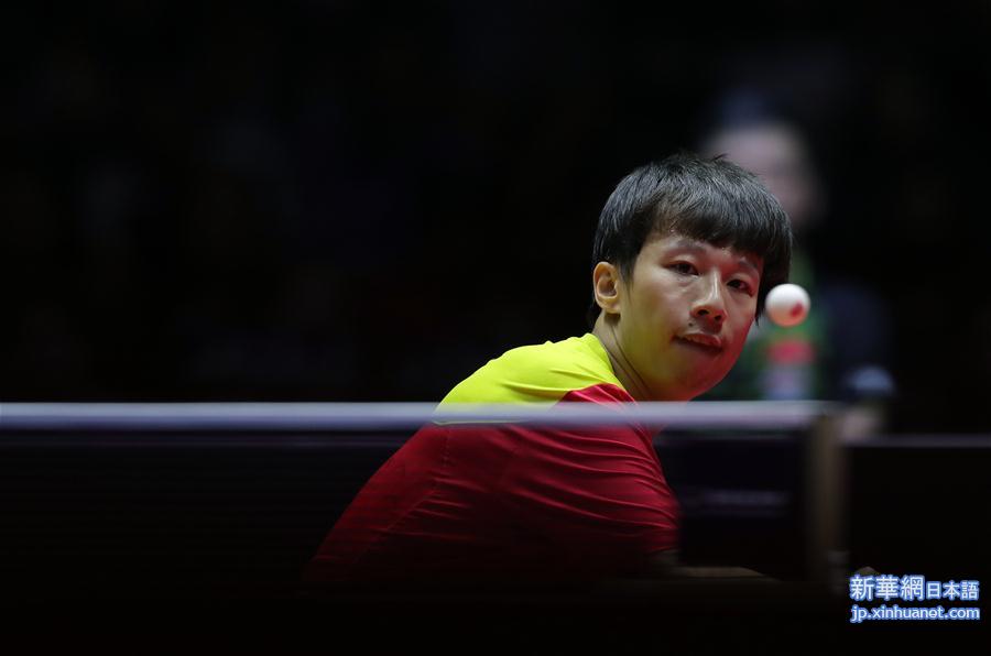 （体育）（3）乒乓球——中国公开赛：林高远晋级四强