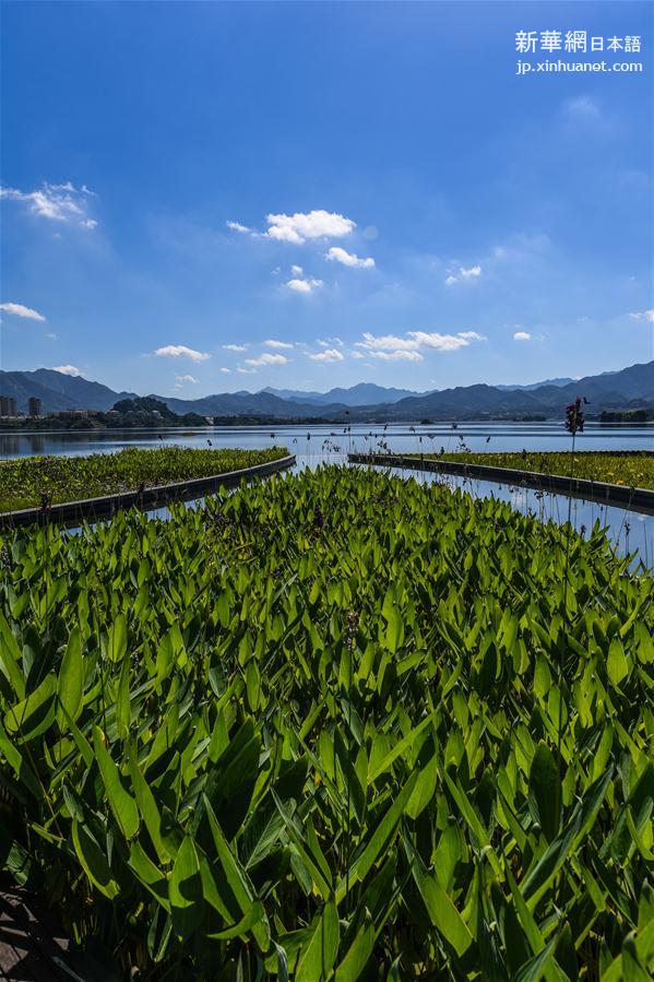 （新华视界）（4）绿色产业发展守护千岛湖“一湖碧水”