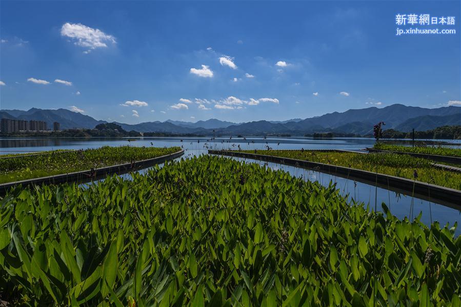 （新华视界）（1）绿色产业发展守护千岛湖“一湖碧水”