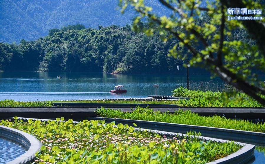 （美丽中国）（10）绿色产业发展守护千岛湖“一湖碧水”