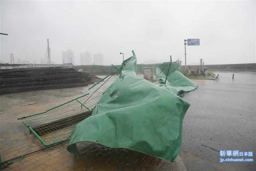 （环境）（2）台风“安比”在上海崇明登陆