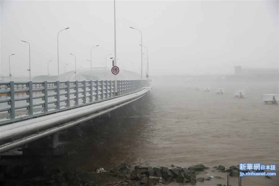 （环境）（3）台风“安比”在上海崇明登陆