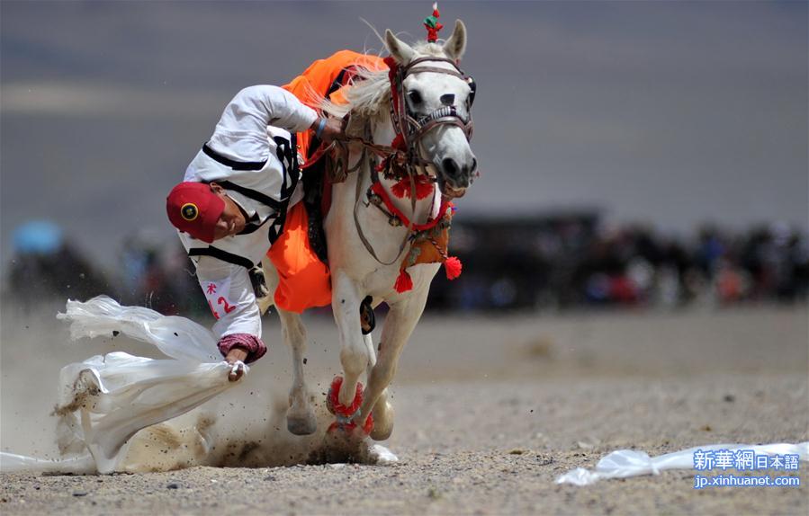 （体育）（3）西藏阿里举行赛马竞技大赛