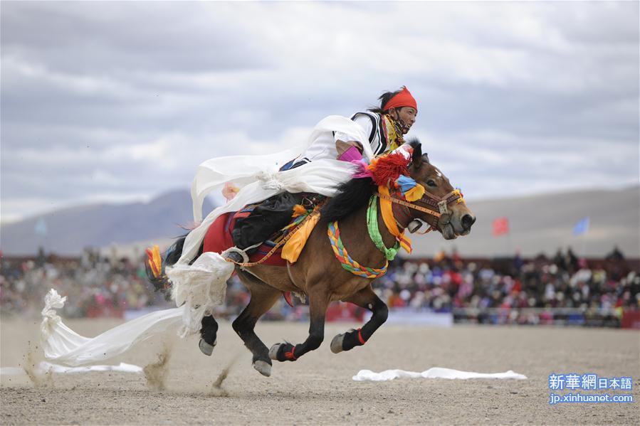 （体育）（4）西藏阿里举行赛马竞技大赛